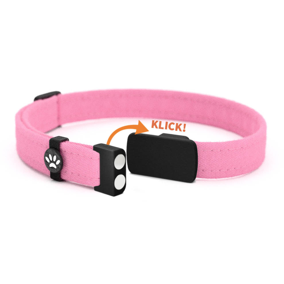 DAISY Personalisiertes Katzenhalsband mit Magnetverschluss
