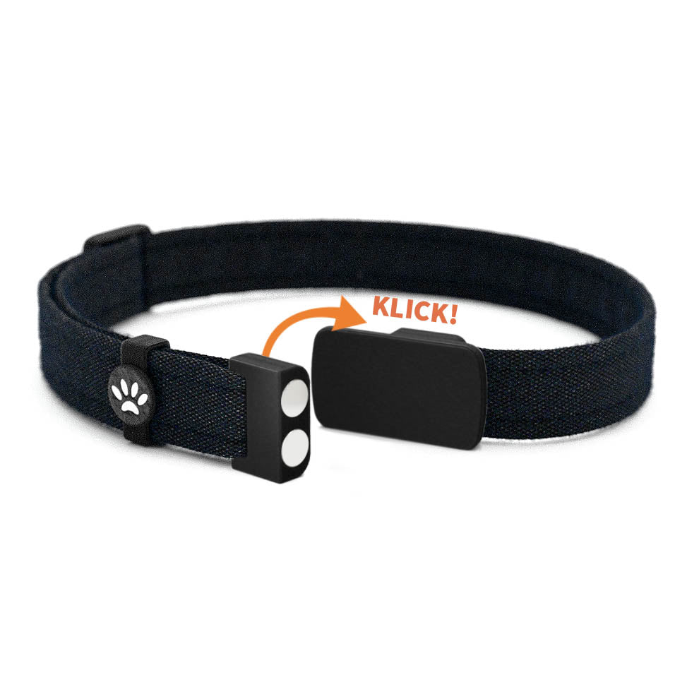 KURT Personalisiertes Katzenhalsband mit Magnetverschluss