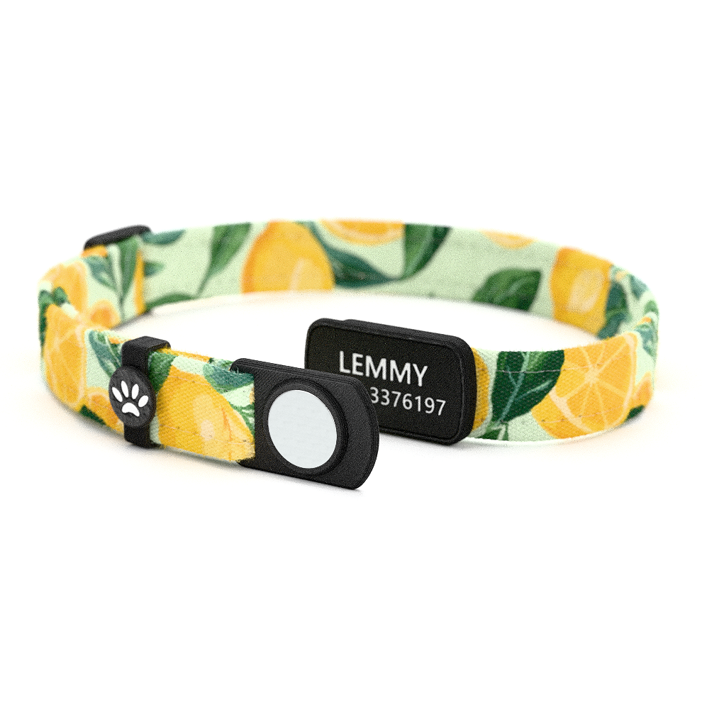 Katzenhalsband "Lemmy" Zitrone
