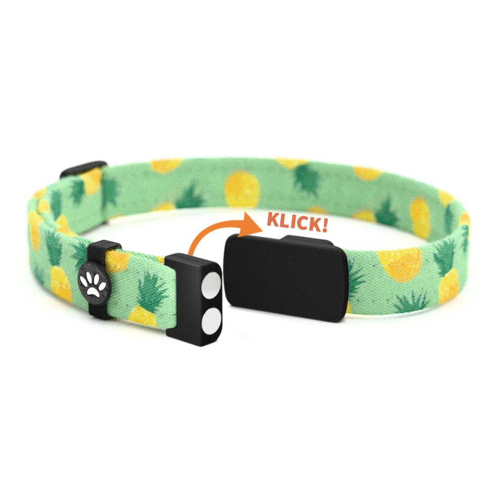 NANA Personalisiertes Katzenhalsband mit Magnetverschluss