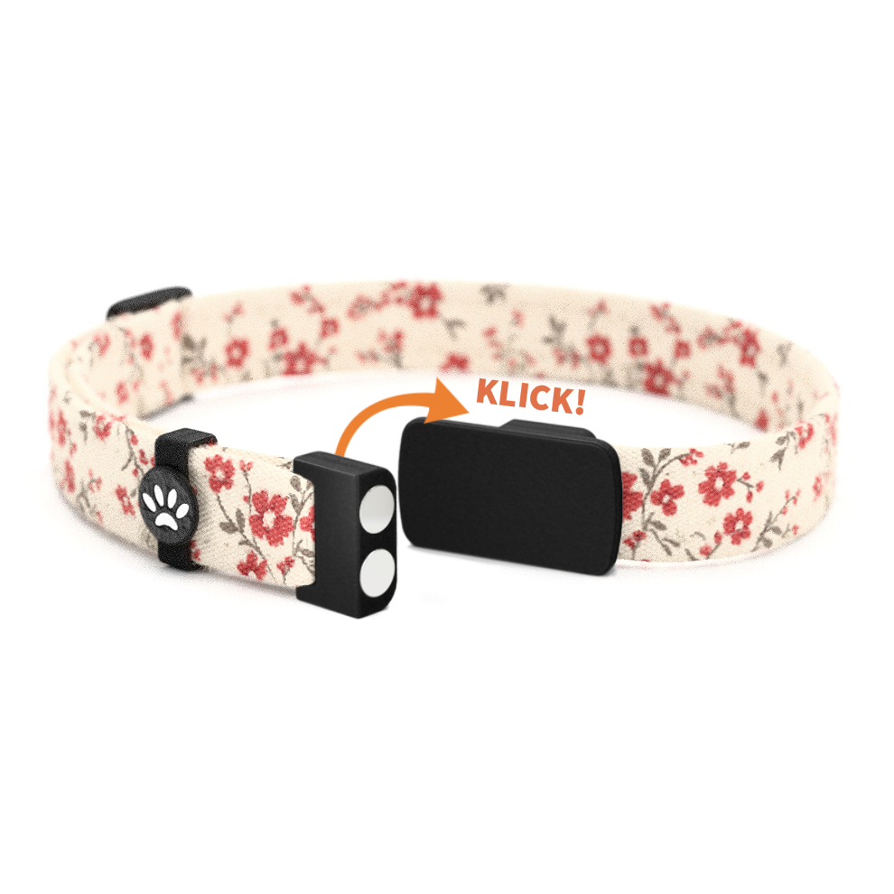 RUBI Personalisiertes Katzenhalsband mit Magnetverschluss