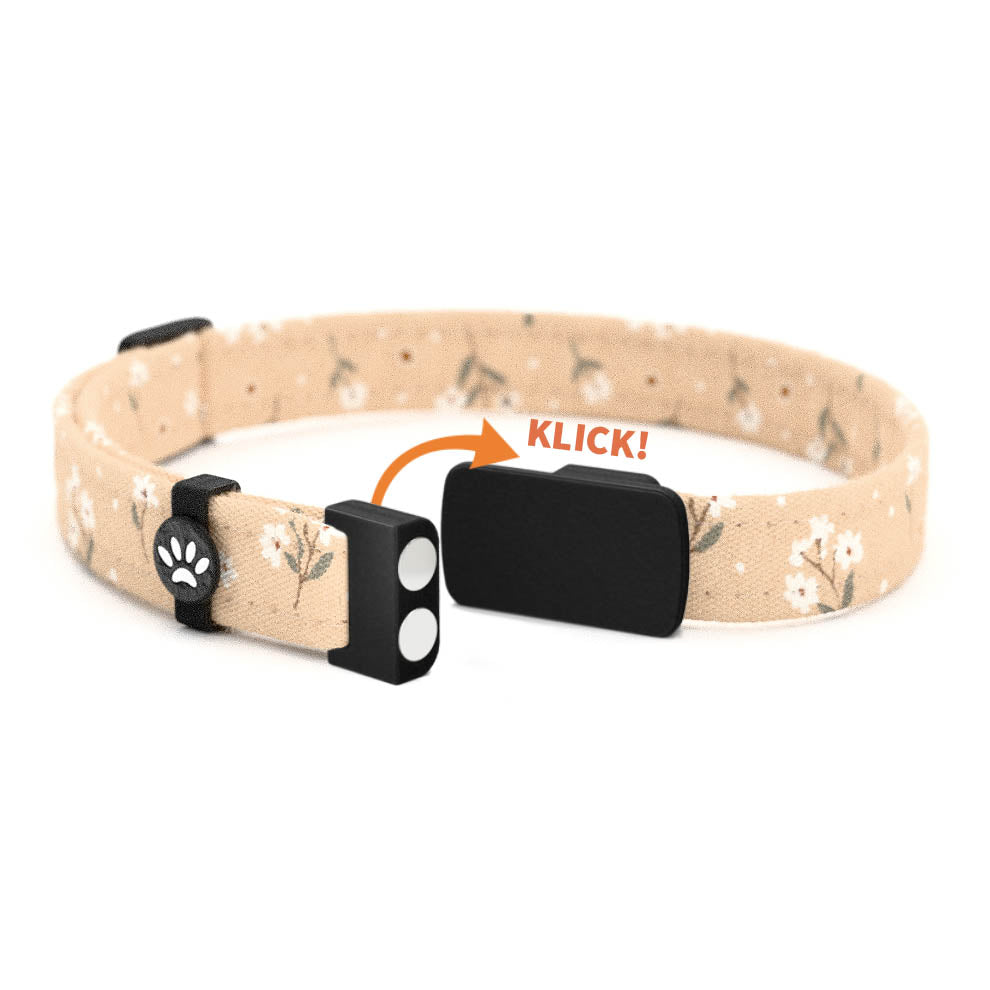 SAHRA Personalisiertes Katzenhalsband mit Magnetverschluss