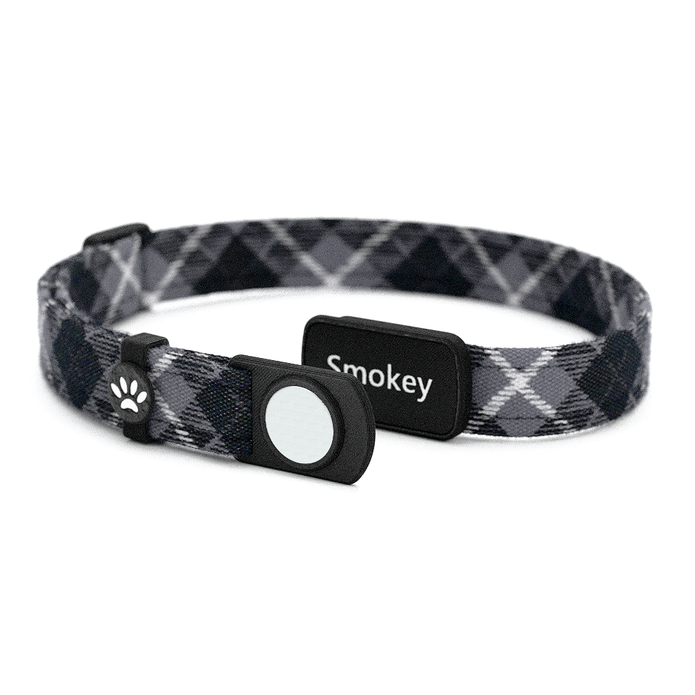 Katzenhalsband "Smokey" Karo Schwarz