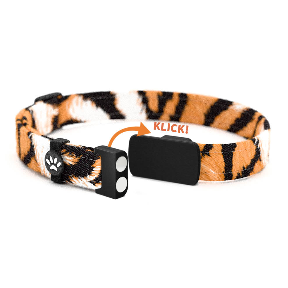 TIGER Personalisiertes Katzenhalsband mit Magnetverschluss