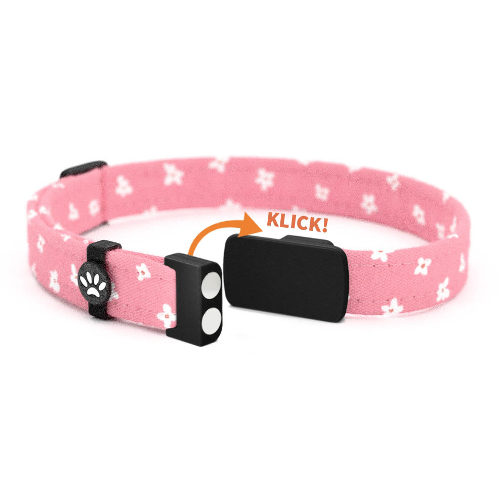 BAMBI Personalisiertes Katzenhalsband mit Magnetverschluss