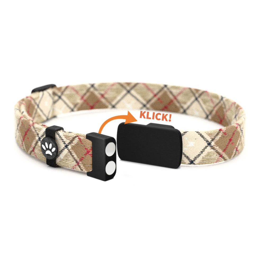 BERND Personalisiertes Katzenhalsband mit Magnetverschluss