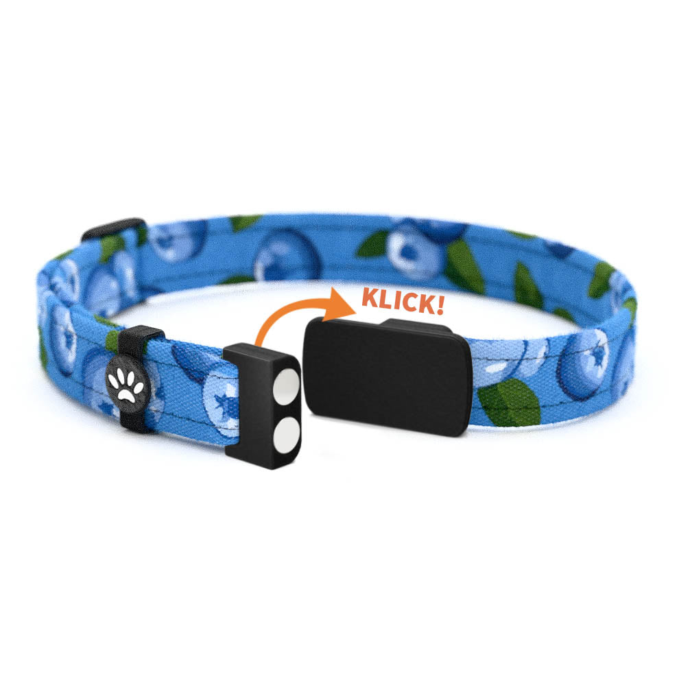 BERRY Personalisiertes Katzenhalsband mit Magnetverschluss