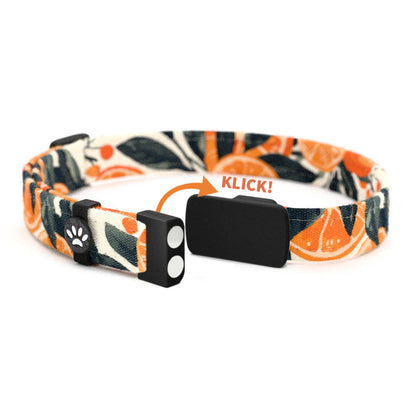 CLEMMI Personalisiertes Katzenhalsband mit Magnetverschluss