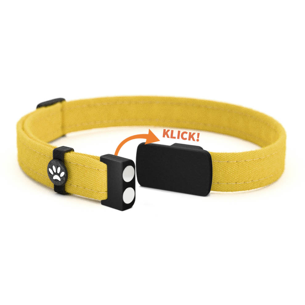 CURRY Personalisiertes Katzenhalsband mit Magnetverschluss