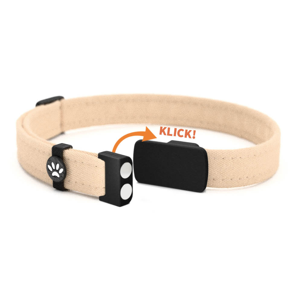 DUSTY Personalisiertes Katzenhalsband mit Magnetverschluss