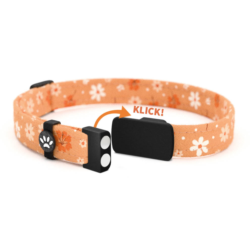 GABBY Personalisiertes Katzenhalsband mit Magnetverschluss