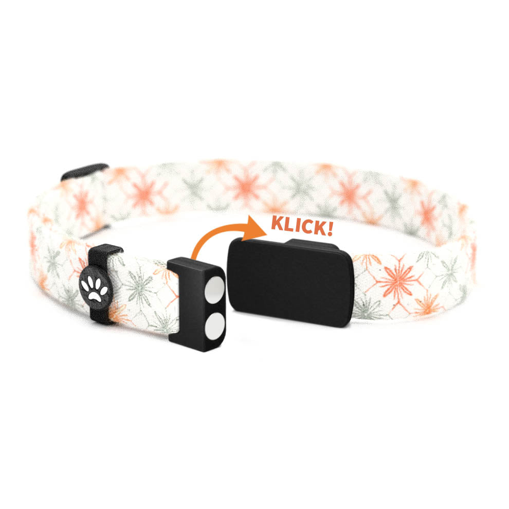 KRISSI Personalisiertes Katzenhalsband mit Magnetverschluss