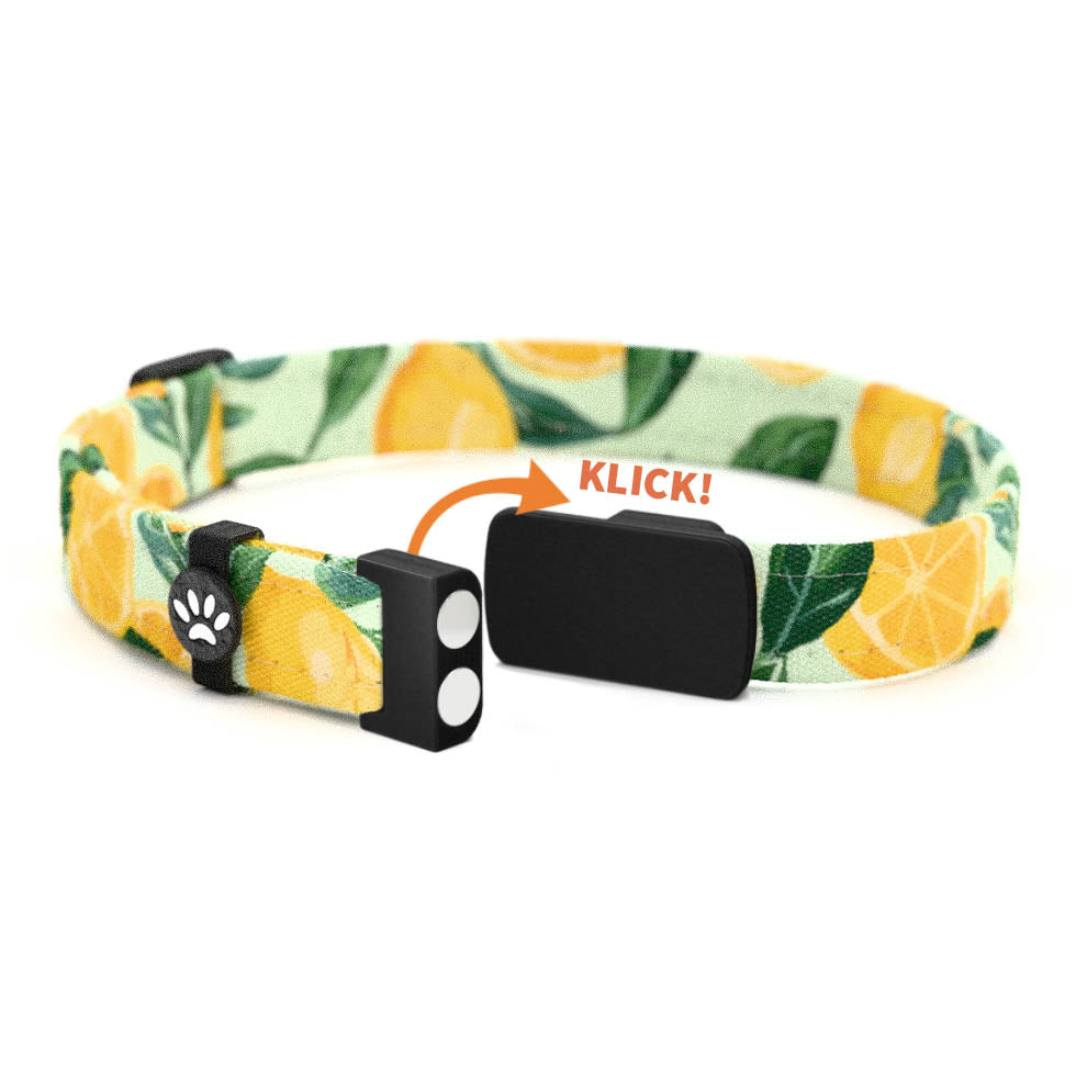 LEMMY Personalisiertes Katzenhalsband mit Magnetverschluss