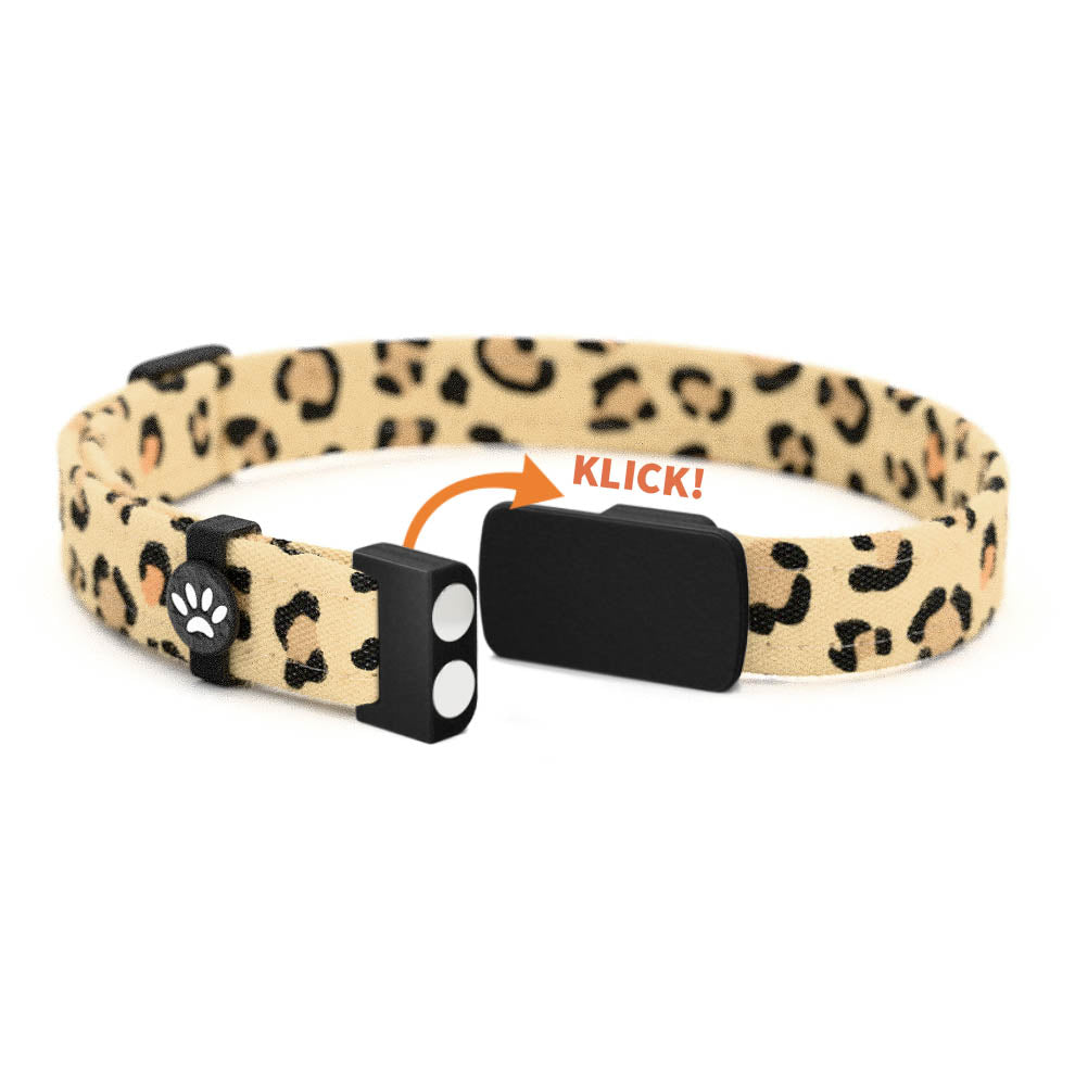 LEO Personalisiertes Katzenhalsband mit Magnetverschluss