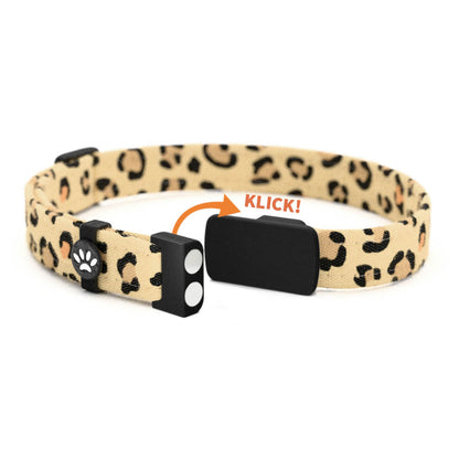 LEO Personalisiertes Katzenhalsband mit Magnetverschluss
