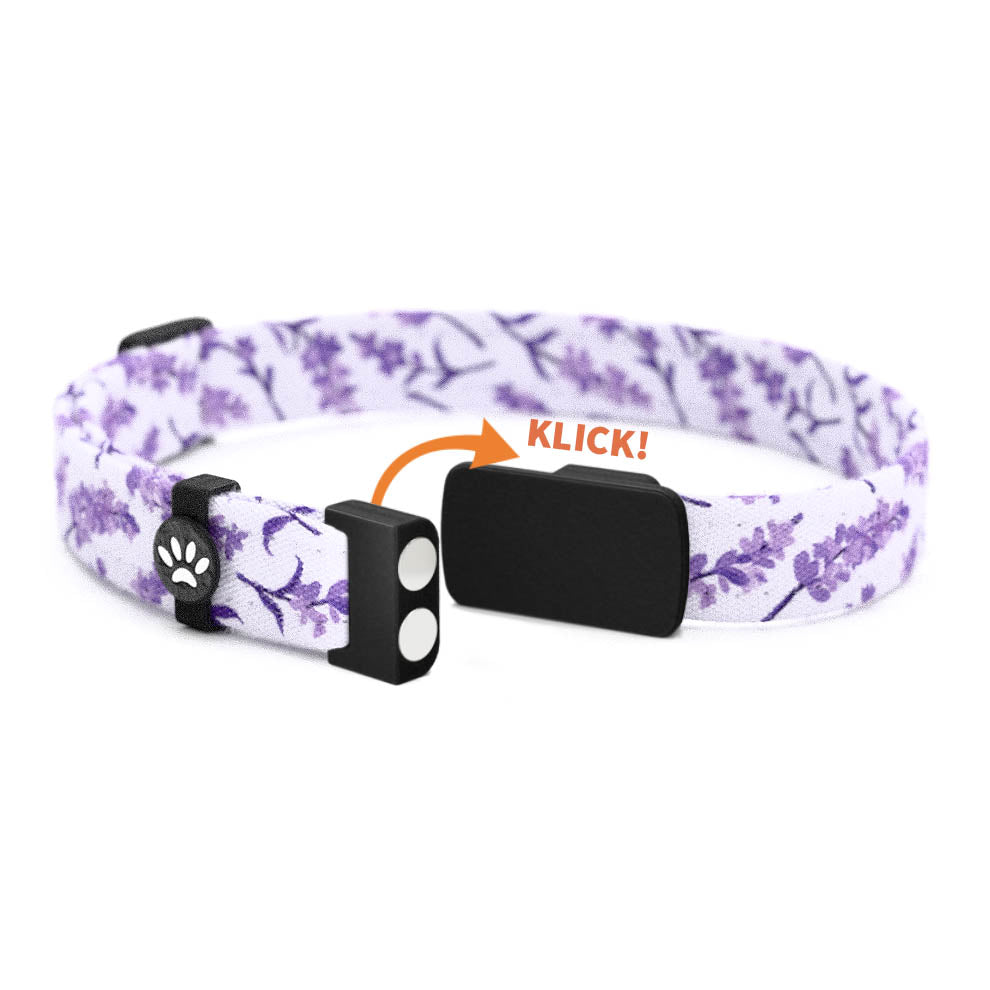 LEELA Personalisiertes Katzenhalsband mit Magnetverschluss