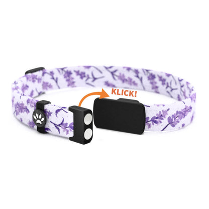 LEELA Personalisiertes Katzenhalsband mit Magnetverschluss