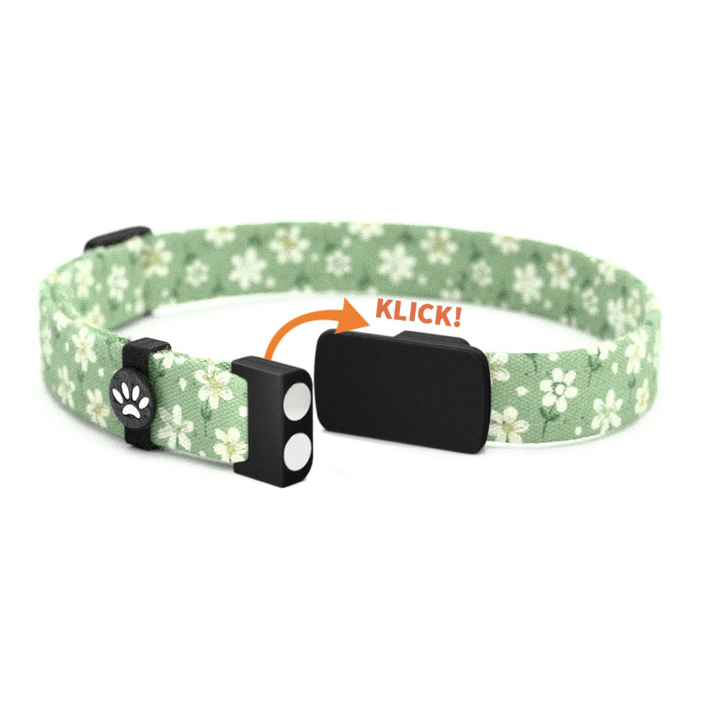 LINDA Personalisiertes Katzenhalsband mit Magnetverschluss