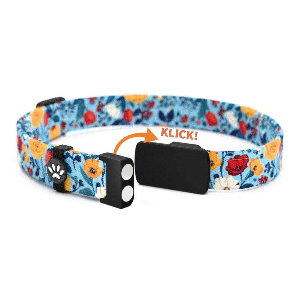 MARLIE Personalisiertes Katzenhalsband mit Magnetverschluss