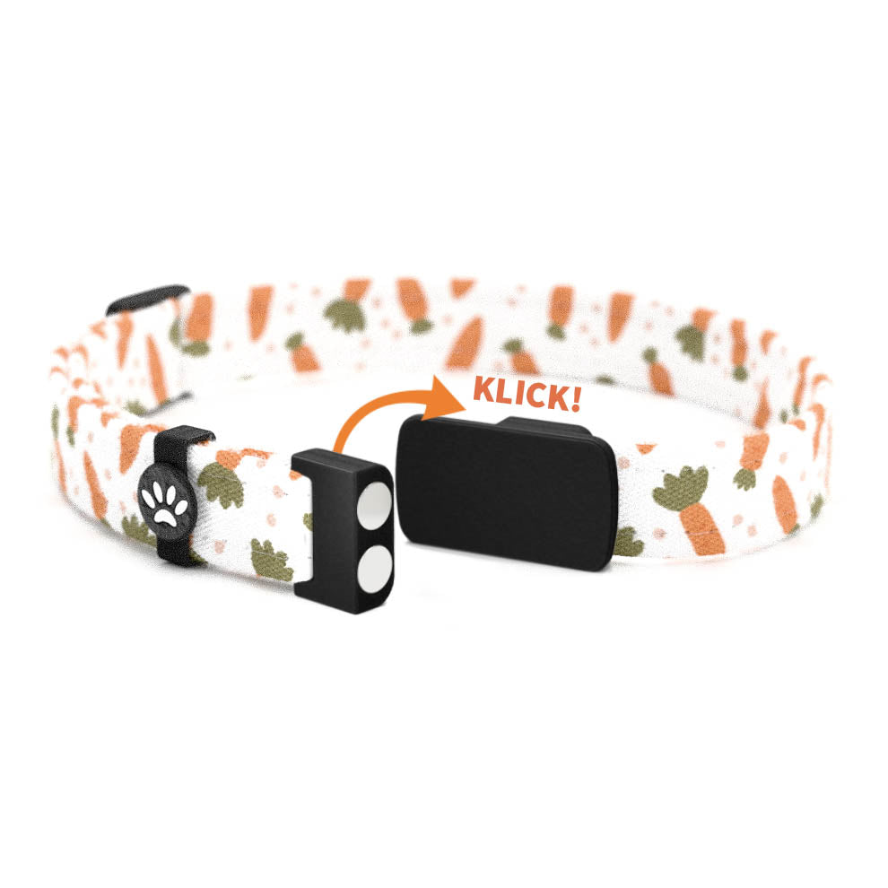 MIRI Personalisiertes Katzenhalsband mit Magnetverschluss