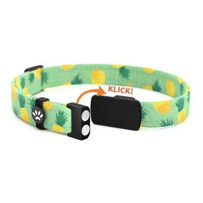 NANA Personalisiertes Katzenhalsband mit Magnetverschluss