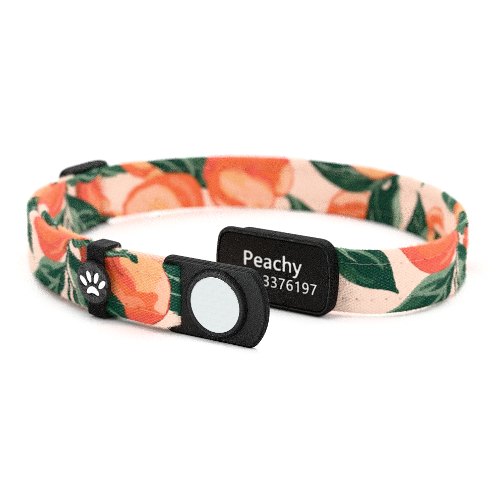 Katzenhalsband "Peachy" Pfirsich