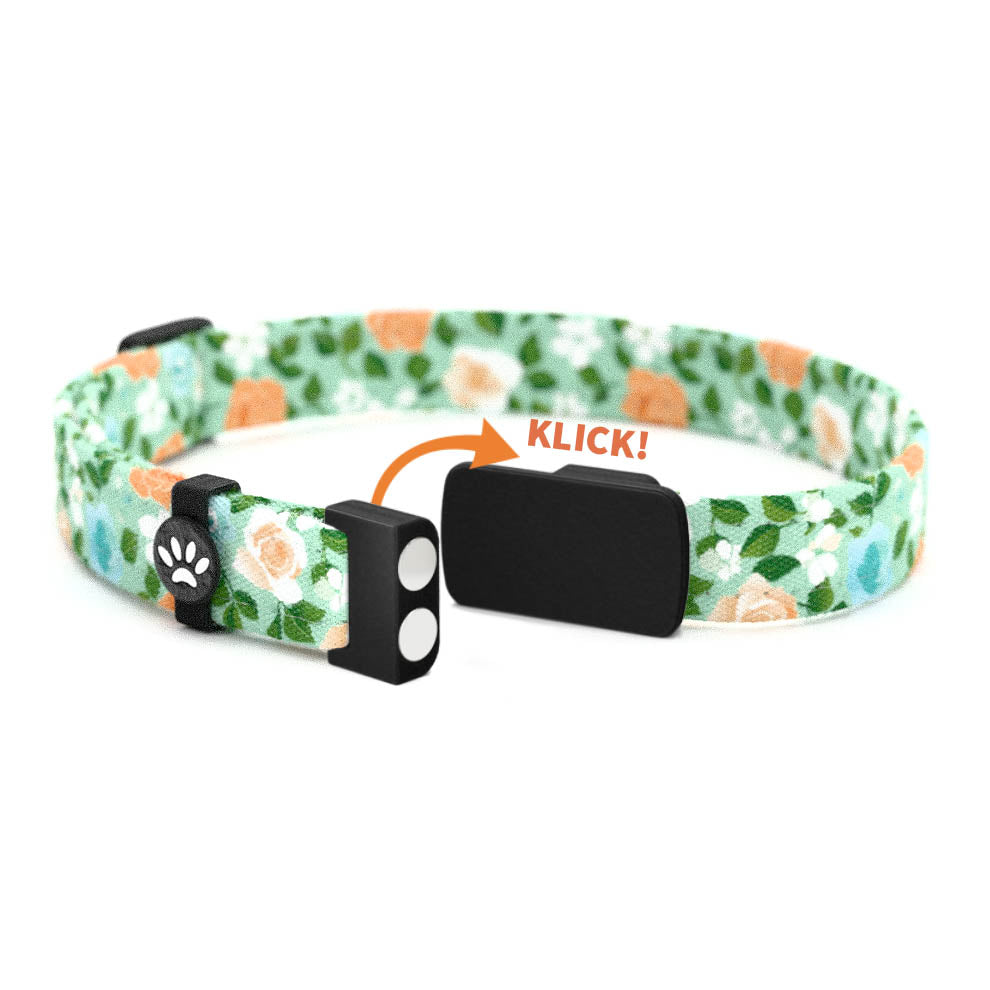 ROSE Personalisiertes Katzenhalsband mit Magnetverschluss