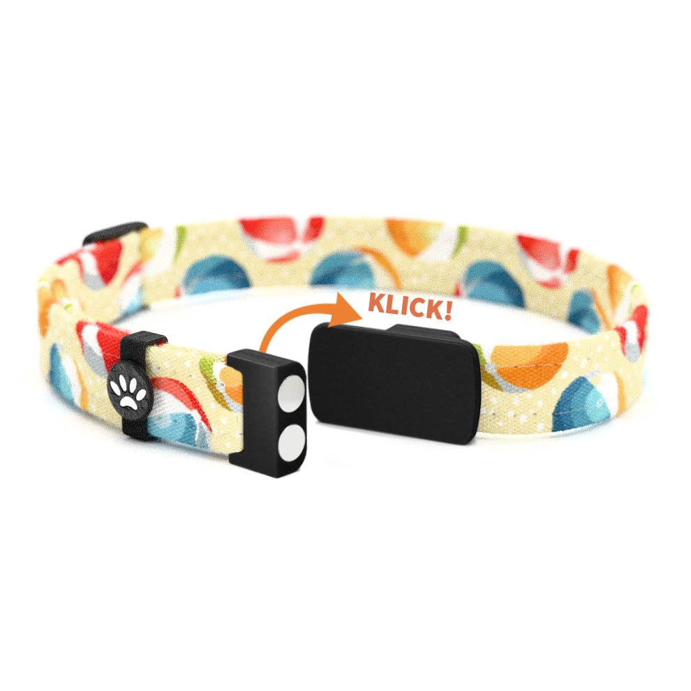 SANDY Personalisiertes Katzenhalsband mit Magnetverschluss