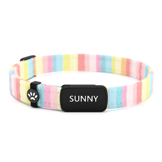 Katzenhalsband "Sunny" Bunte Streifen