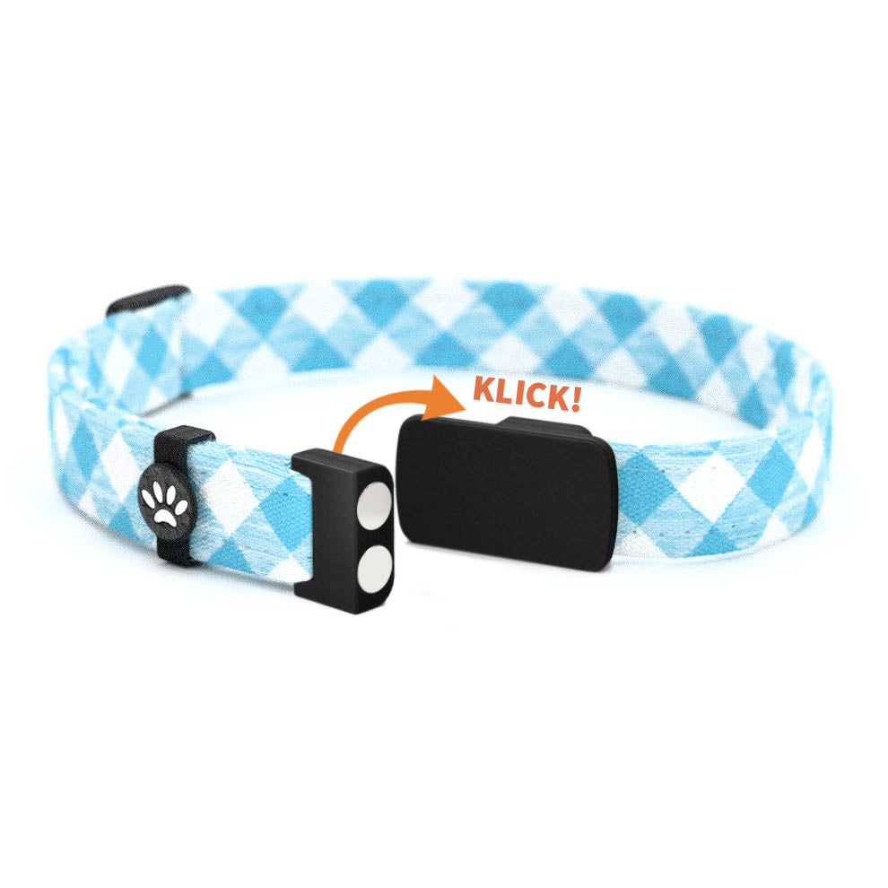 SCOTTI Personalisiertes Katzenhalsband mit Magnetverschluss