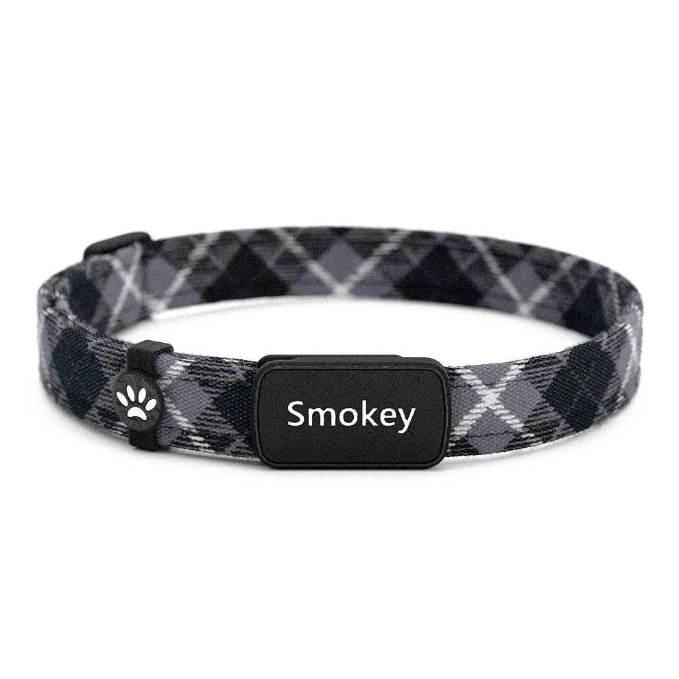 Katzenhalsband "Smokey" Karo Schwarz