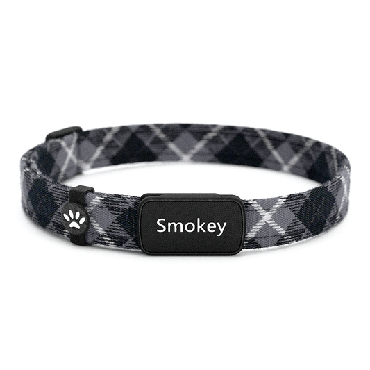 Katzenhalsband "Smokey" Karo Schwarz