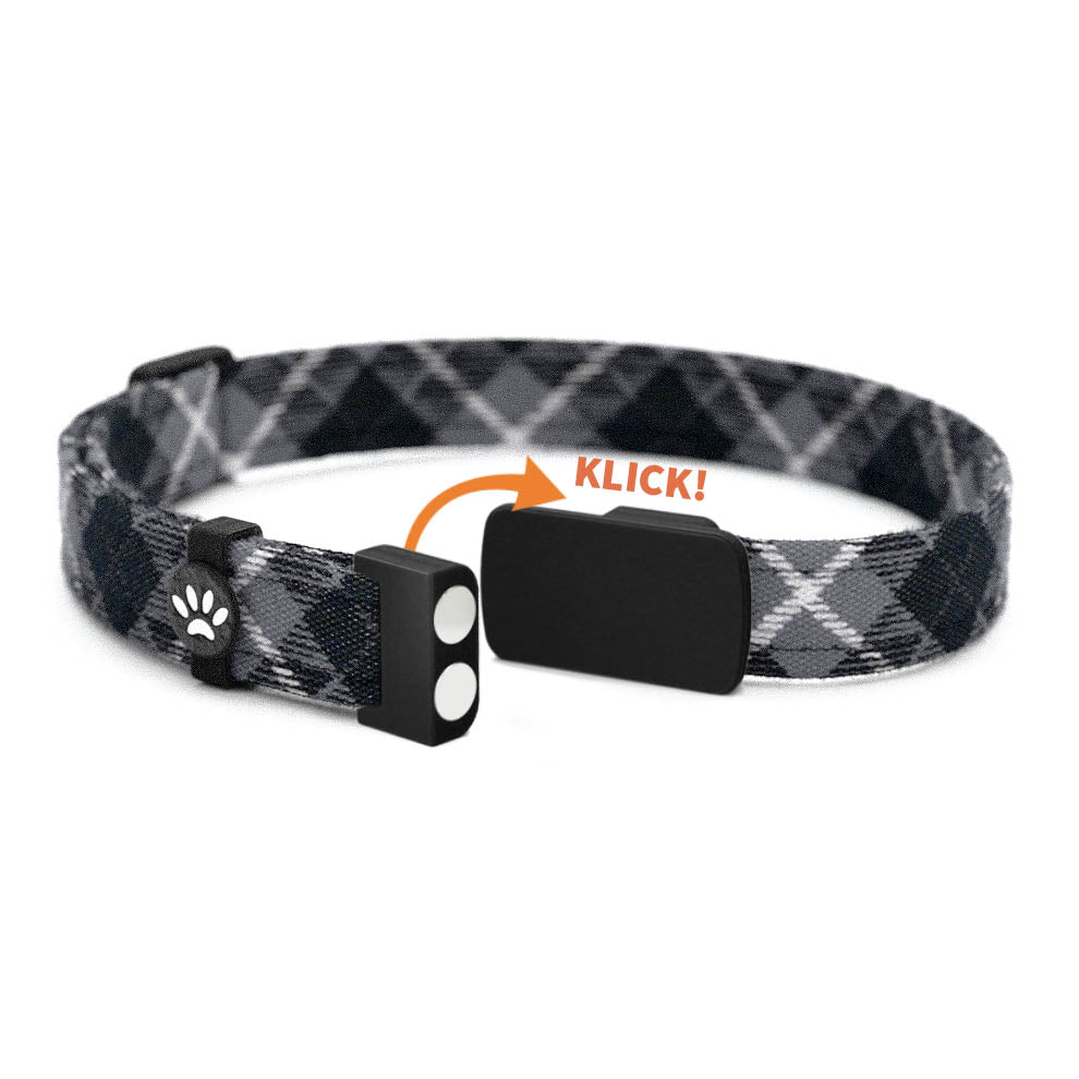 SMOKEY Personalisiertes Katzenhalsband mit Magnetverschluss